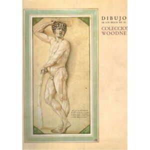 Dibujos de los Siglos XIV al XX. Colección Woodner