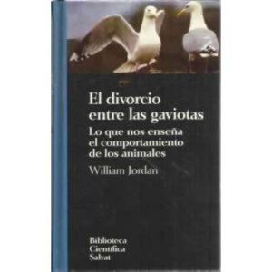 El divorcio entre gaviotas. Lo que nos enseña el comportamiento de los animales