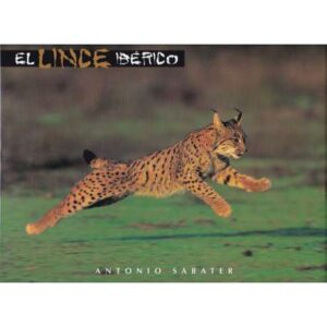 El Lince Ibérico
