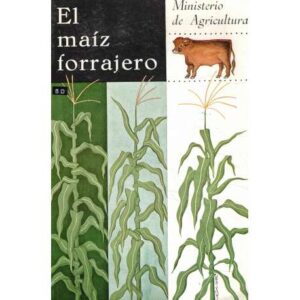 El maíz forrajero