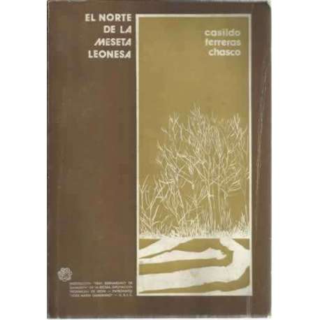El norte de la Meseta Leonesa. Estudio geográfico de un espacio rural