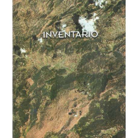 El paisaje anarqueológico. Inventario o las Ruinas del Jardín