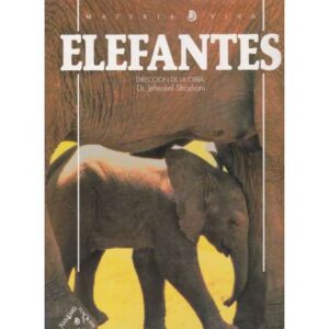 Elefantes