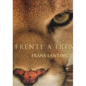 Frente a frente