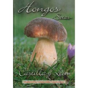 Hongos en Castilla y León. Setas