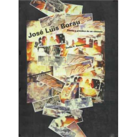 José Luis Borau. Teoría y práctica de un cineasta