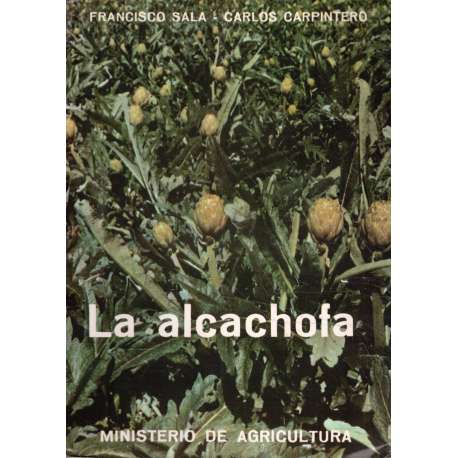 La alcachofa