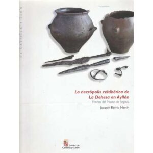 La necrópolis celtibérica de la Dehesa en Ayllón
