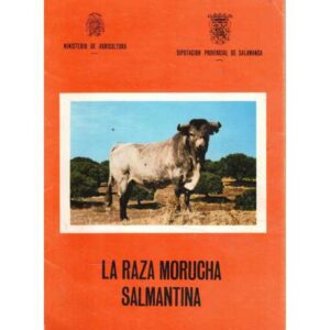 La raza morucha salmantina