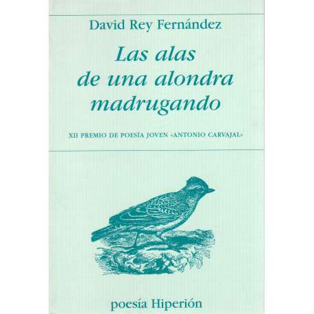 Las alas de una alondra madrugando