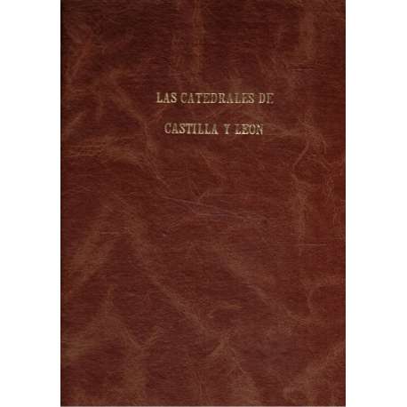 Las Catedrales de Castilla y León