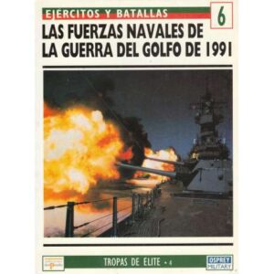 Las fuerzas navales de la gurra del Golfo de 1991