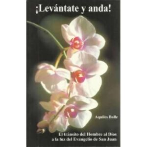 ¡Levántate y anda!. El tránsito del Hombre al Dios a la luz del Evangelio de San Juan