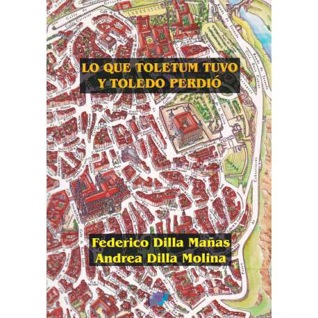 Lo que Toletum tuvo y lo que Toledo perdió
