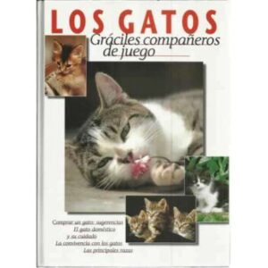 Los gatos. Gráciles compañeros de juego