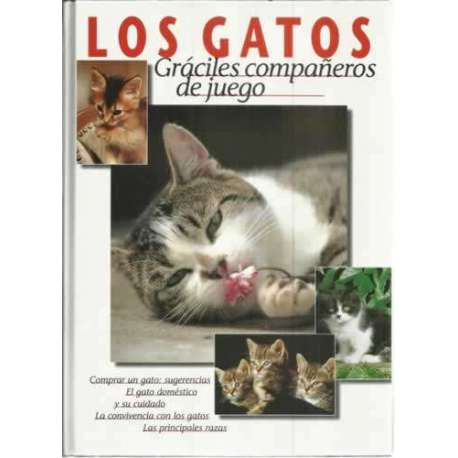 Los gatos. Gráciles compañeros de juego