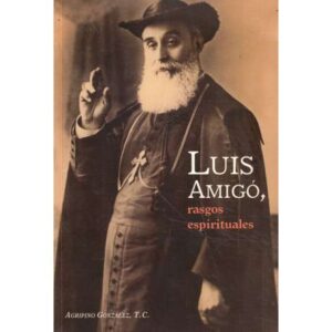 Luis Amigó, rasgos espirituales