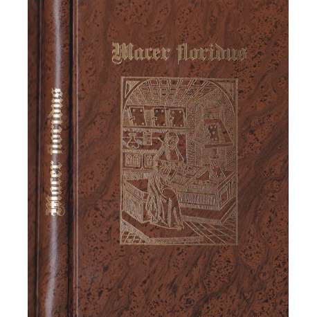 Macer floridus