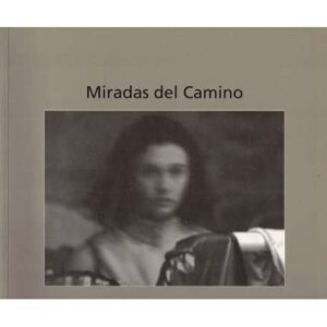 Miradas del Camino. El Camino de Santiago en Navarra