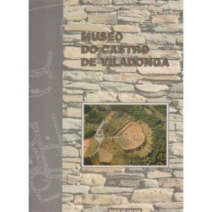 Museo do Castro de Viladonga. Castro de Rei, Lugo