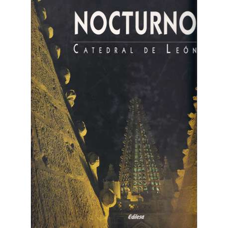 Nocturno. Catedral de León
