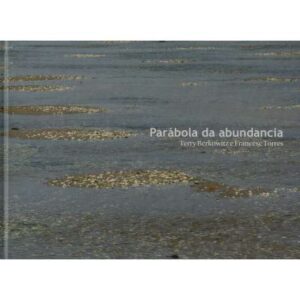 Parábola da abundancia