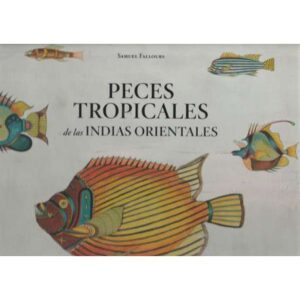 Peces tropicales de las Indias Orientales