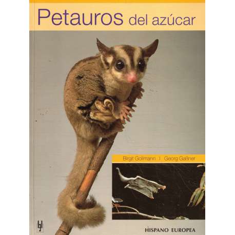 Petauros del azúcar. Los marsupiales voladores