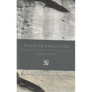 Punto de ebullición. Antología de la poesía contemporánea en gallego
