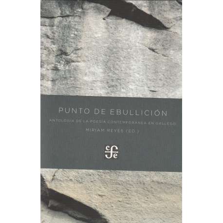 Punto de ebullición. Antología de la poesía contemporánea en gallego