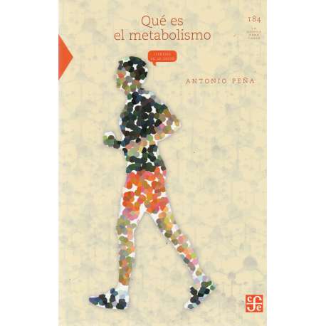 Qué es el metabolismo