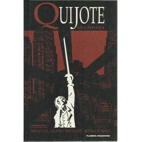 Quijote. Una novela