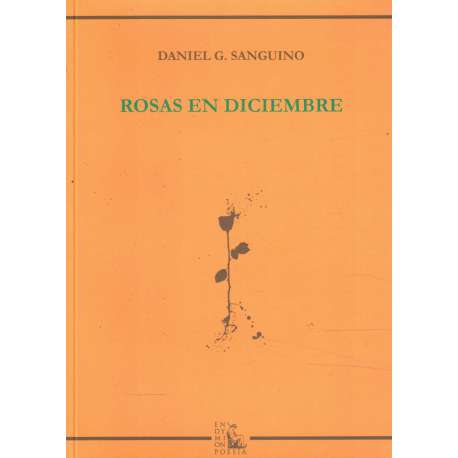 Rosas en diciembre