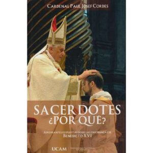 Sacerdotes ¿por qué?