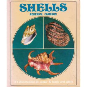 Shells