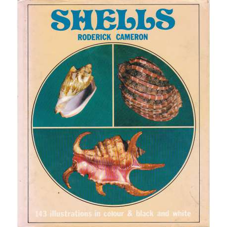Shells