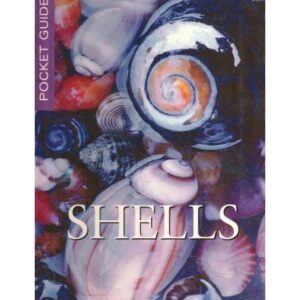 Shells. Pocket guide