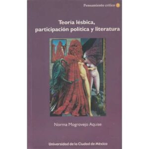 Teoría lésbica, participación política y literatura