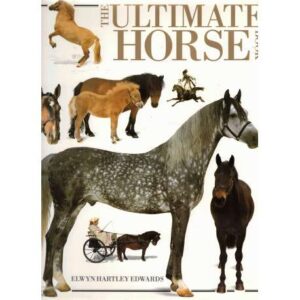 The ultimate horse book
