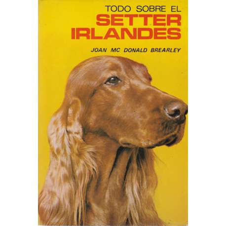 Todo sobre setter irlandés