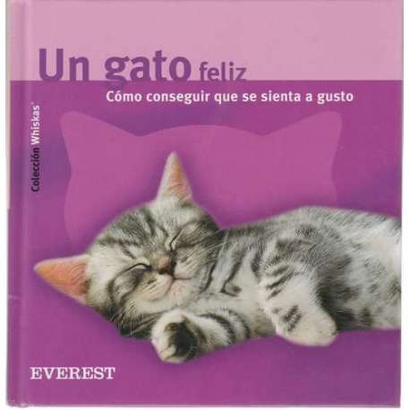 Un gato feliz
