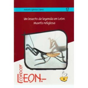 Un insecto de leyenda en León: Mantis religiosa