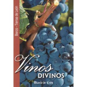 Vinos divinos. Bierzo-Tierra de León