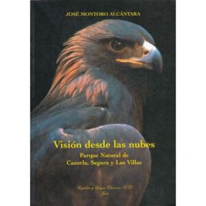 Visión desde las nubes