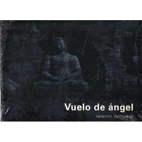 Vuelo de ángel