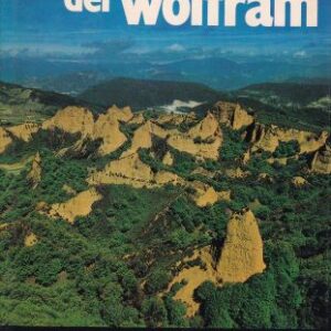 El año del wolfram