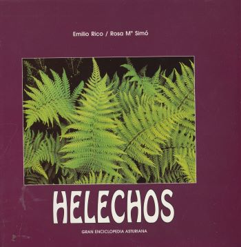 Helechos