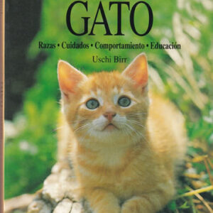 Nuestro gato
