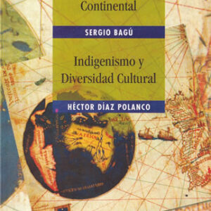 La identidad continental. Indigenismo y diversidad cultural