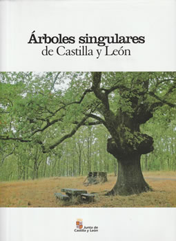 Árboles singulares de Castilla y León